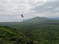 Typická krajina v Arba Minch. Jezero Abaya a letící Marabu