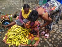 Diverzita ovoce na místním trhu