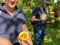 Diverzifikace ovocné produkce, Jan Staš, William Nkomoki