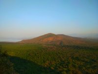 Unique greenery surrounding Arba Minch