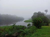 A haze over the Nyong river, Ebogo